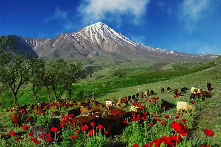 12 ثانیه باورنکردنی از قله دماوند که ایران را بهت‌زده کرد!